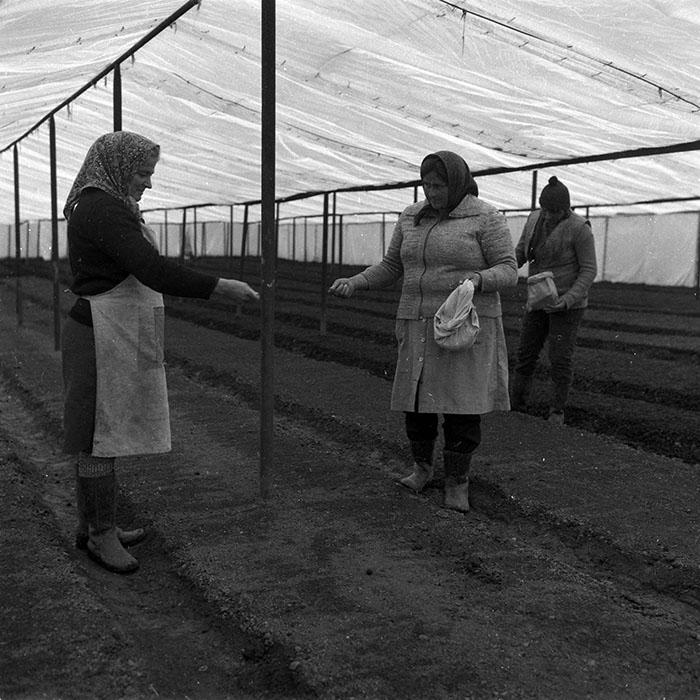 minerva_1988_agrar_c4r5_006