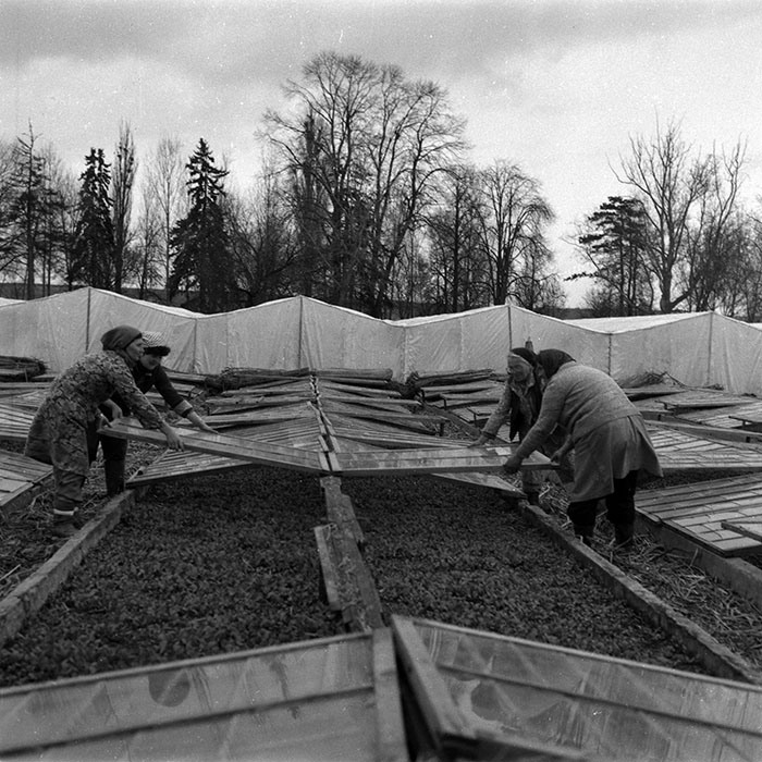 minerva_1988_agrar_c4r5_009