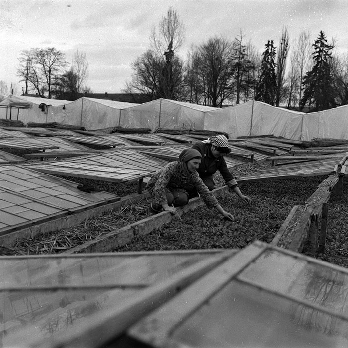 minerva_1988_agrar_c4r5_010