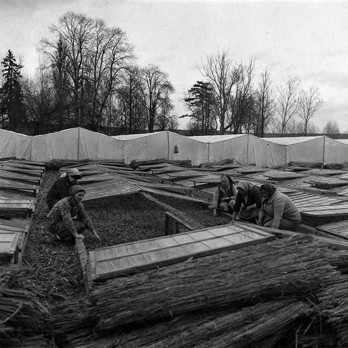 minerva_1988_agrar_c4r5_011