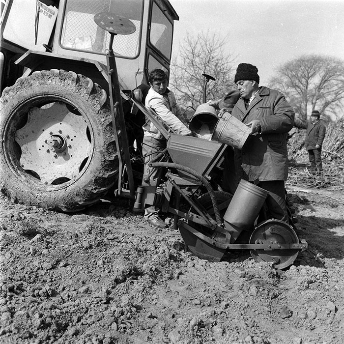 minerva_1988_agrar_c5r1_001