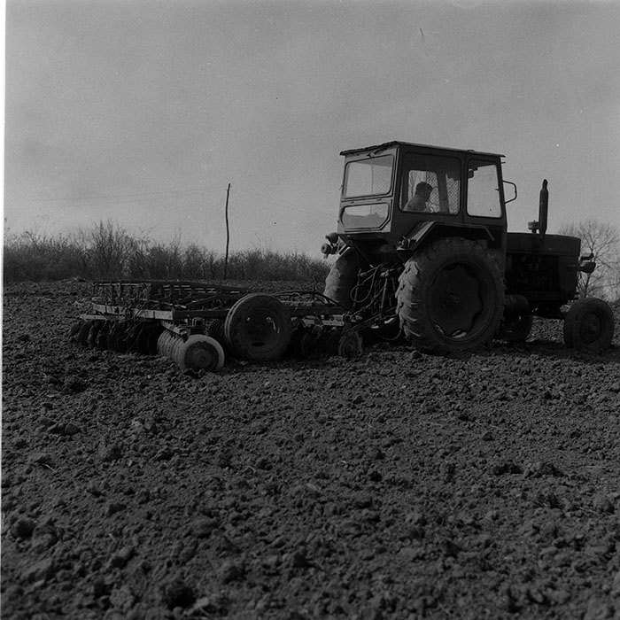 minerva_1988_agrar_c5r1_003