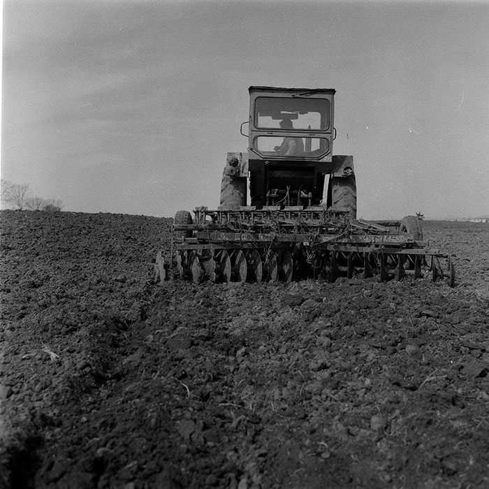 minerva_1988_agrar_c5r1_005