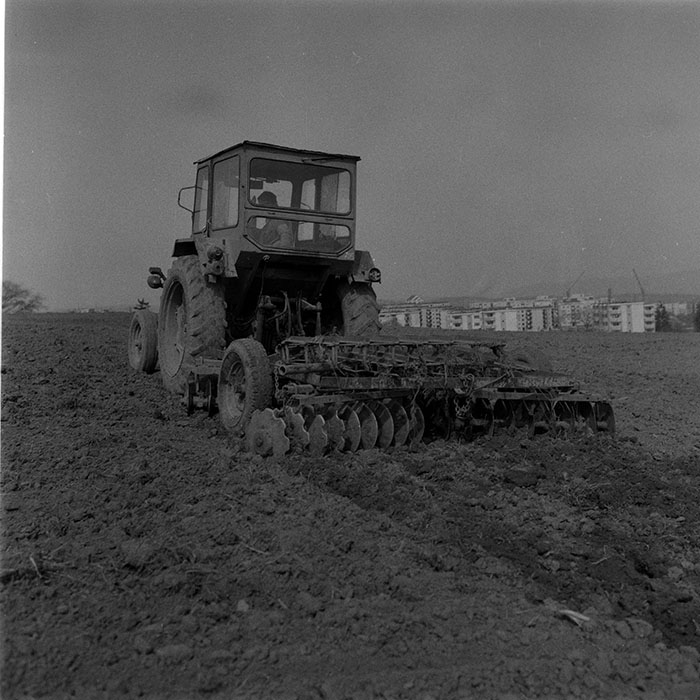 minerva_1988_agrar_c5r1_006