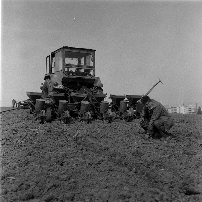 minerva_1988_agrar_c5r1_008