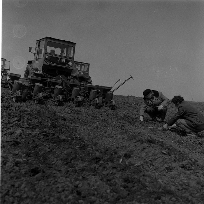 minerva_1988_agrar_c5r1_011