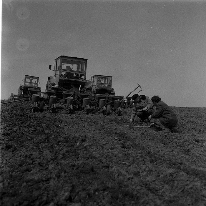 minerva_1988_agrar_c5r1_012