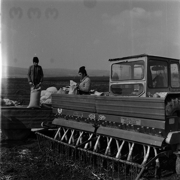 minerva_1988_agrar_c5r1_013