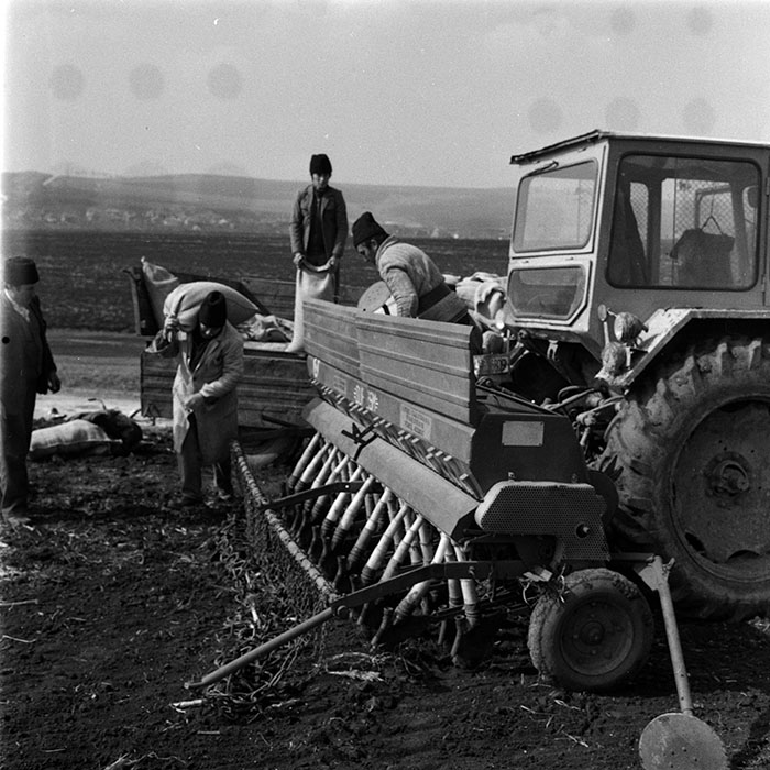 minerva_1988_agrar_c5r1_015