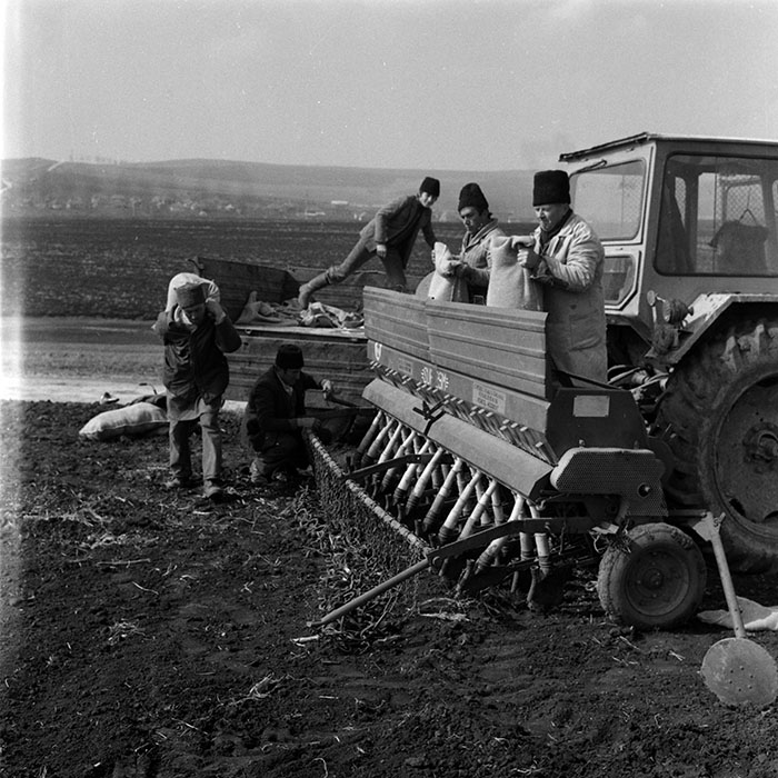 minerva_1988_agrar_c5r1_017