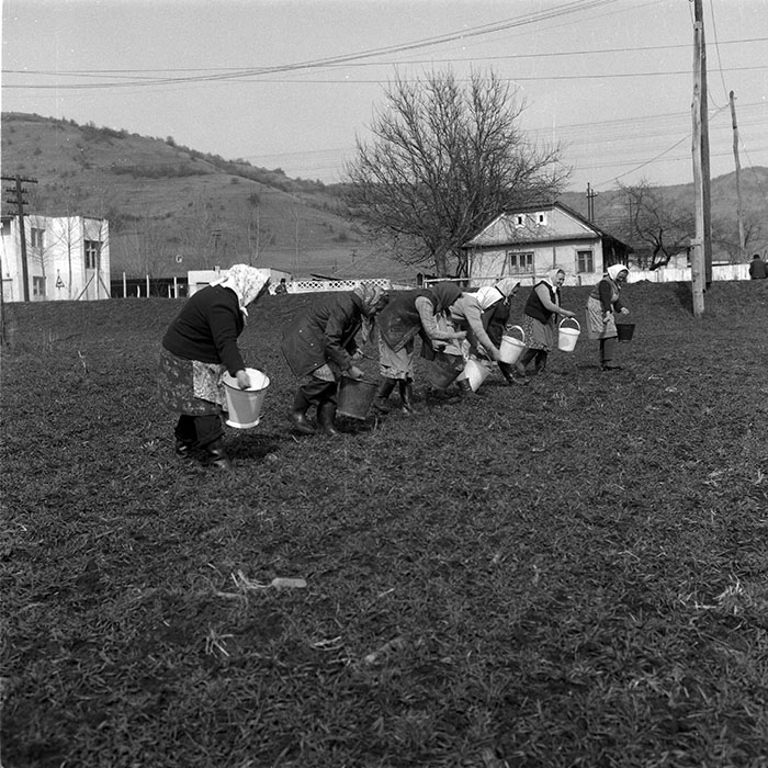 minerva_1988_agrar_c5r3_001