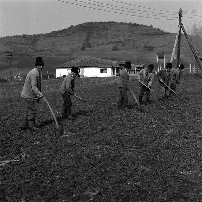 minerva_1988_agrar_c5r3_003