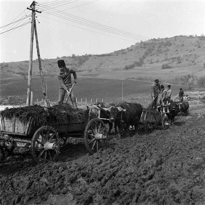 minerva_1988_agrar_c5r3_004