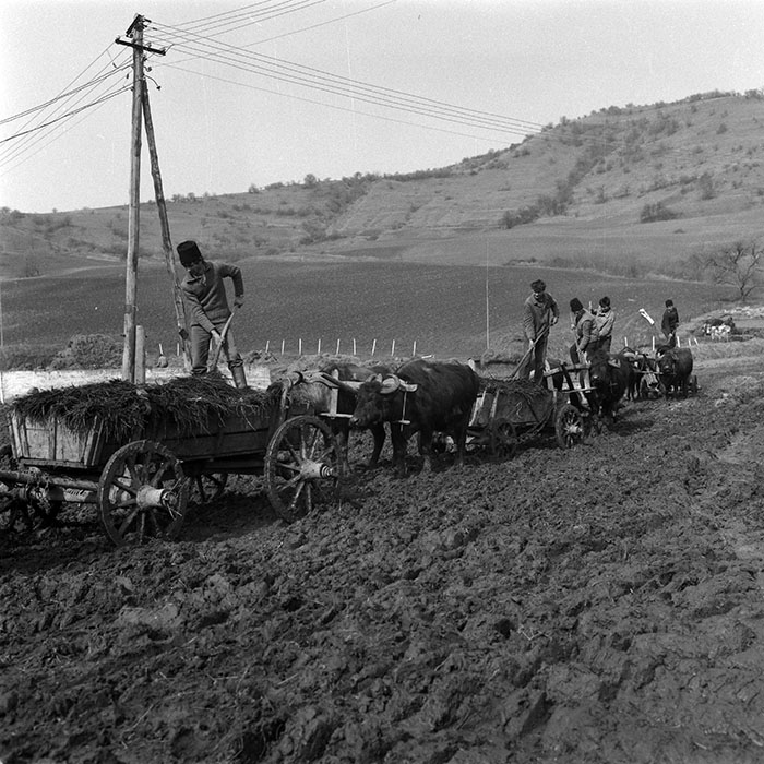 minerva_1988_agrar_c5r3_005