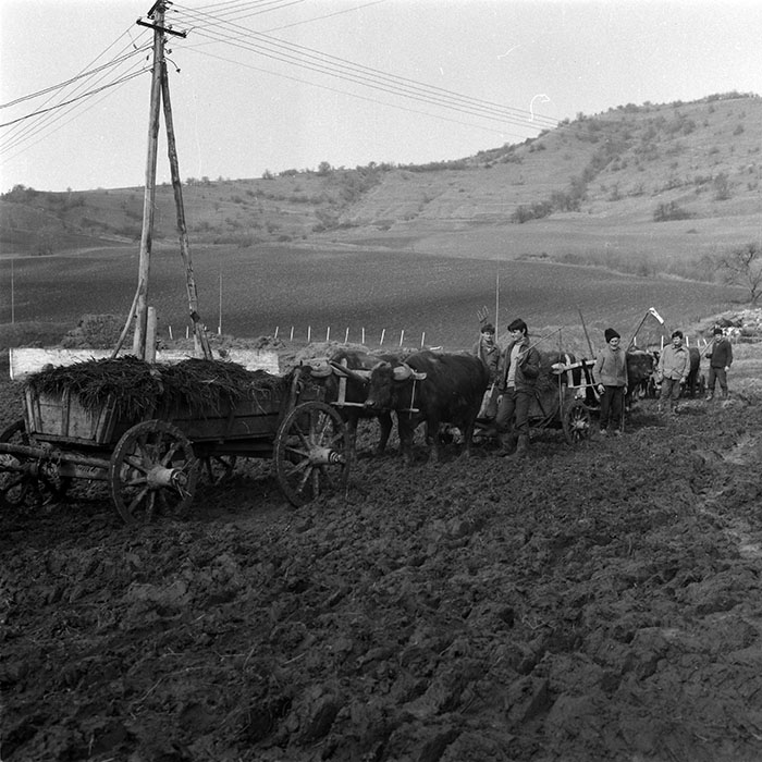 minerva_1988_agrar_c5r3_006