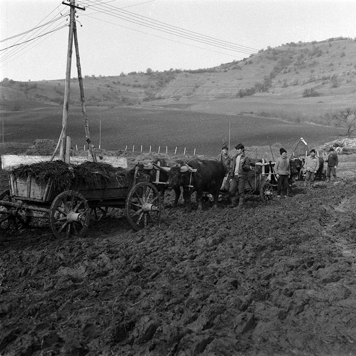 minerva_1988_agrar_c5r3_007