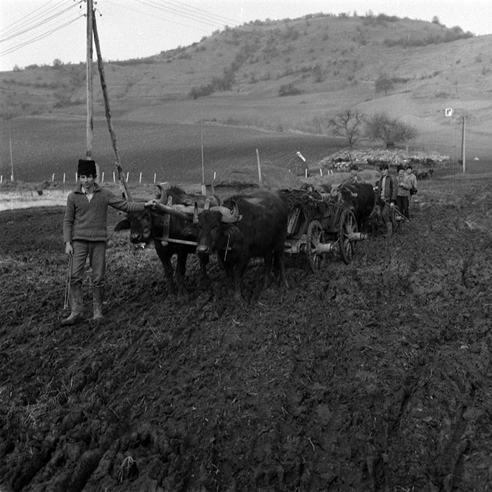 minerva_1988_agrar_c5r3_008