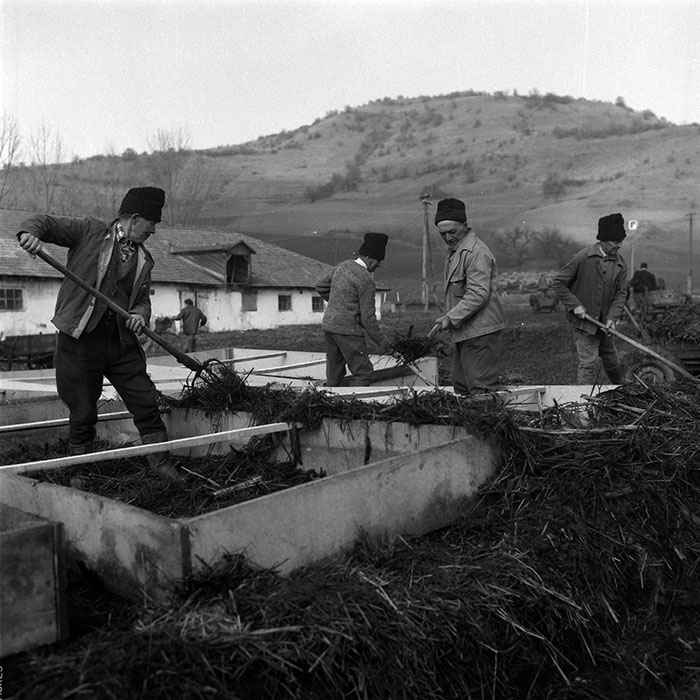 minerva_1988_agrar_c5r3_009