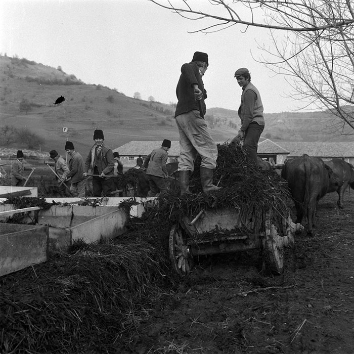 minerva_1988_agrar_c5r3_010