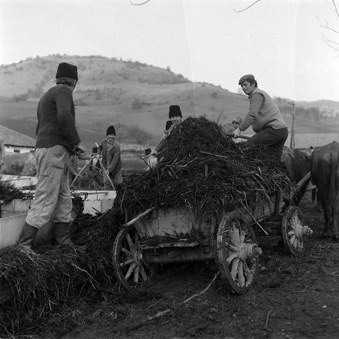 minerva_1988_agrar_c5r3_012