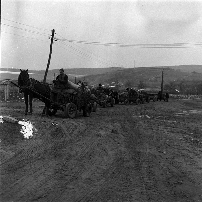 minerva_1988_agrar_c5r3_013