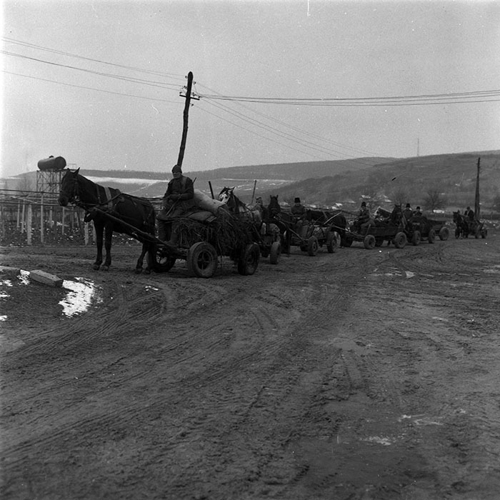 minerva_1988_agrar_c5r3_014