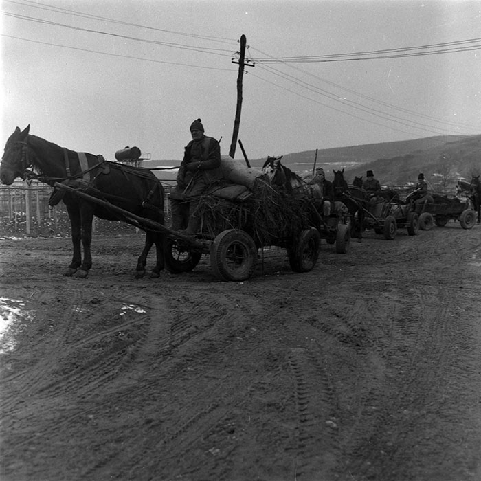 minerva_1988_agrar_c5r3_015