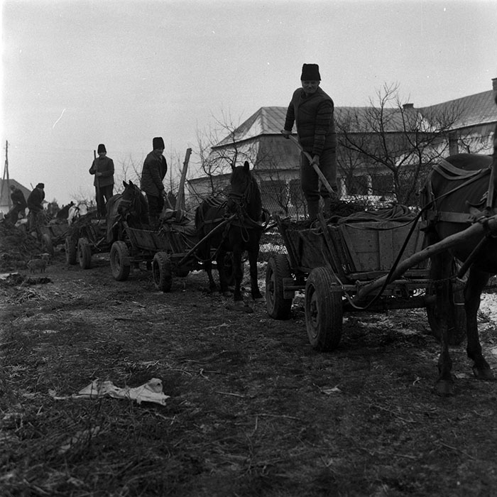 minerva_1988_agrar_c5r3_020