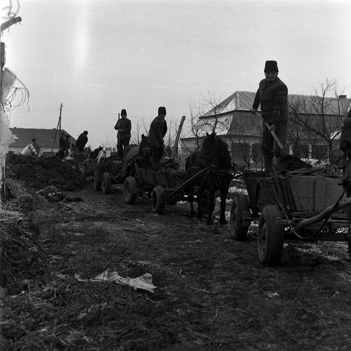 minerva_1988_agrar_c5r3_021