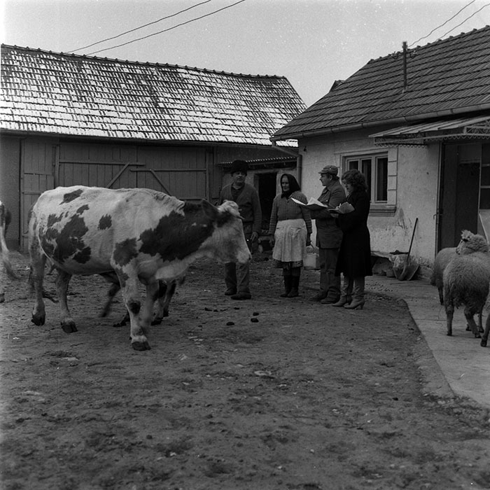 minerva_1988_agrar_c5r3_024