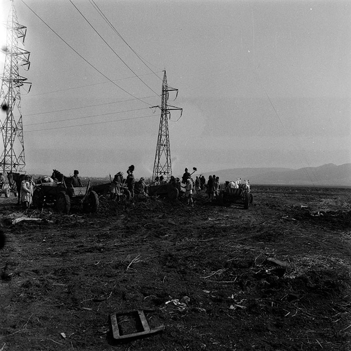 minerva_1988_agrar_c5r3_025