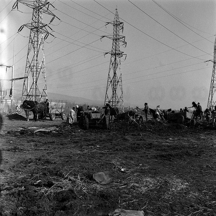 minerva_1988_agrar_c5r3_026