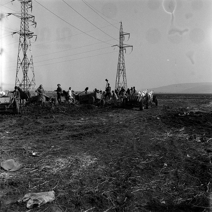 minerva_1988_agrar_c5r3_027