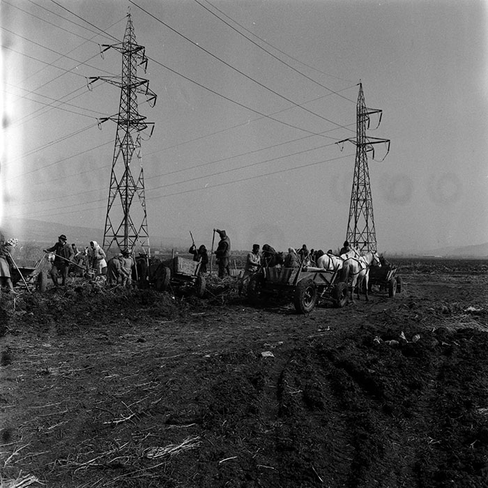 minerva_1988_agrar_c5r3_029