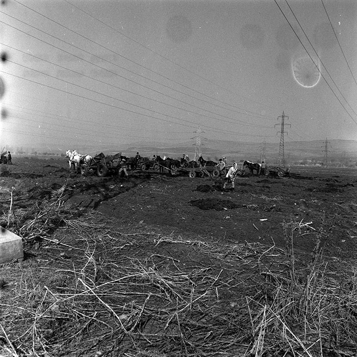 minerva_1988_agrar_c5r3_030