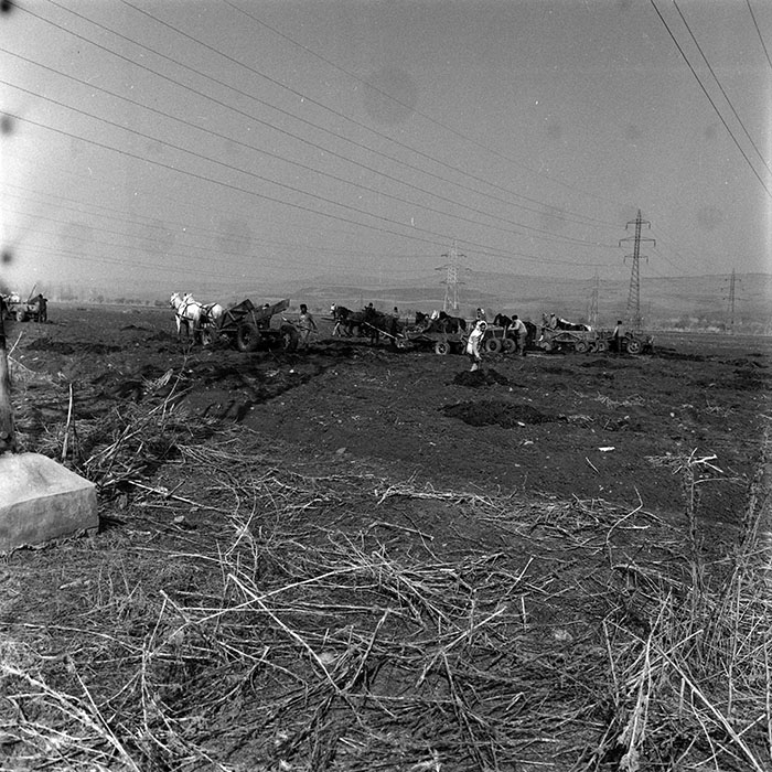 minerva_1988_agrar_c5r3_031