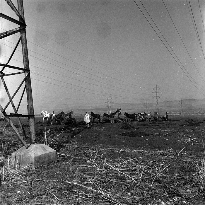 minerva_1988_agrar_c5r3_032