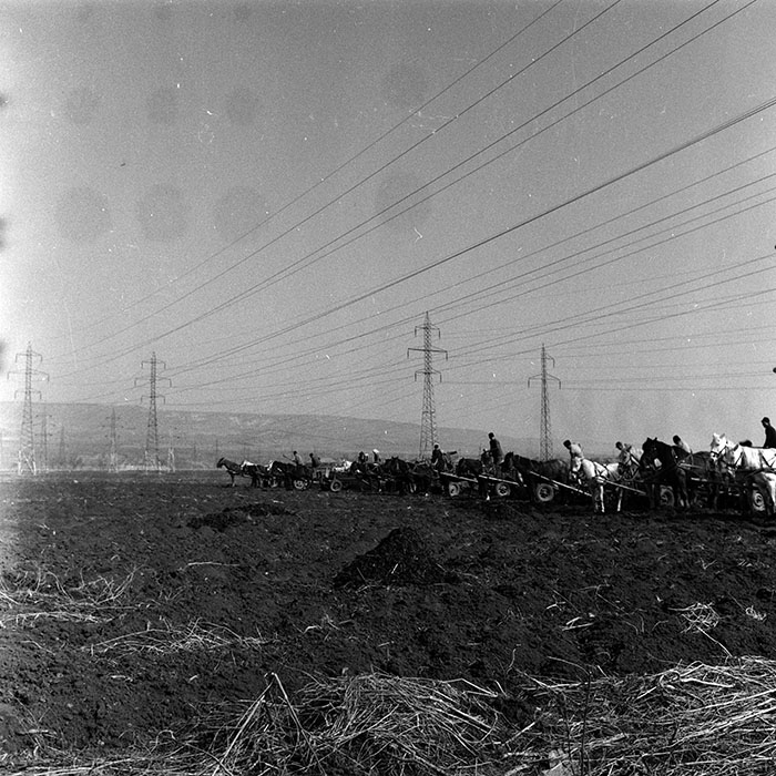 minerva_1988_agrar_c5r3_034