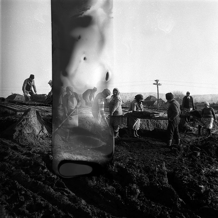 minerva_1988_agrar_c5r3_036