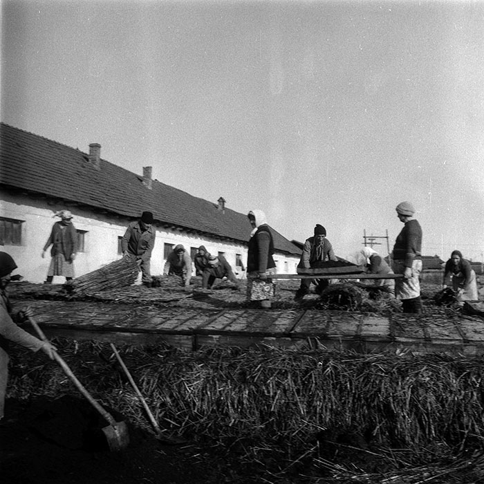 minerva_1988_agrar_c5r3_039