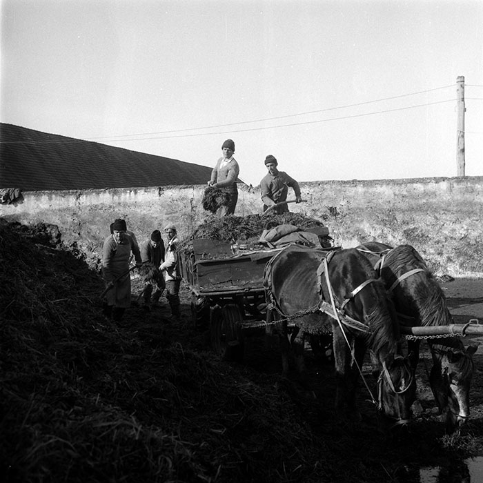 minerva_1988_agrar_c5r3_040