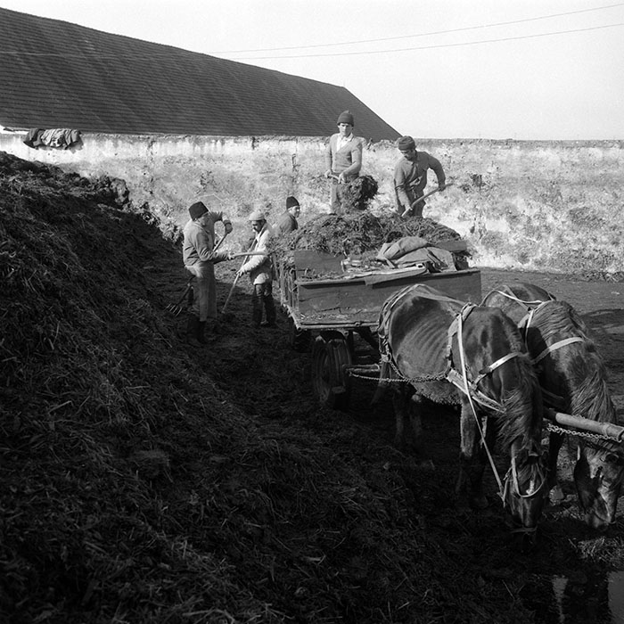 minerva_1988_agrar_c5r3_041