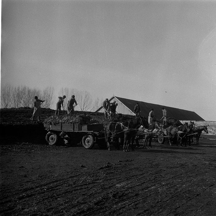 minerva_1988_agrar_c5r3_042