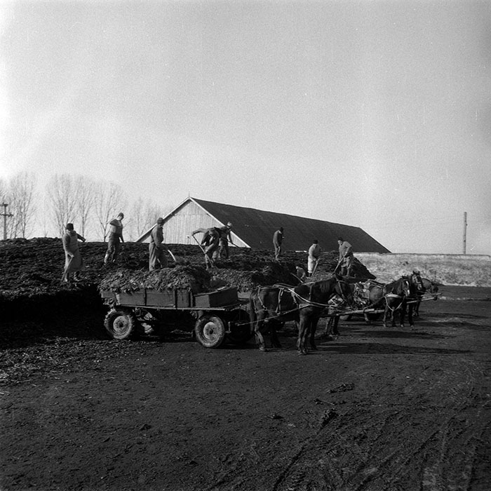 minerva_1988_agrar_c5r3_043