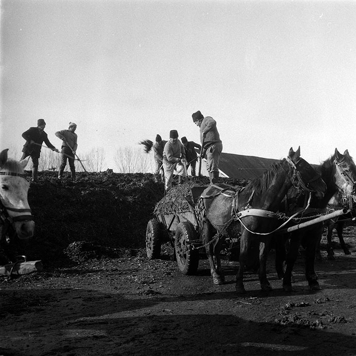 minerva_1988_agrar_c5r3_044