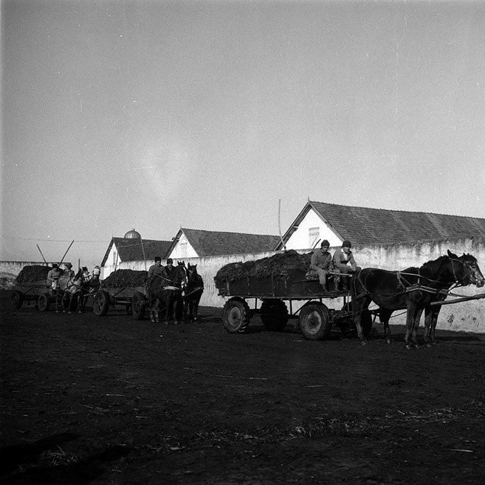 minerva_1988_agrar_c5r3_046