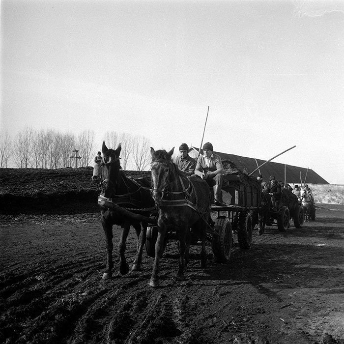 minerva_1988_agrar_c5r3_047