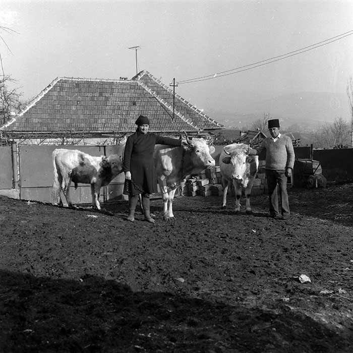 minerva_1988_agrar_c5r4_003