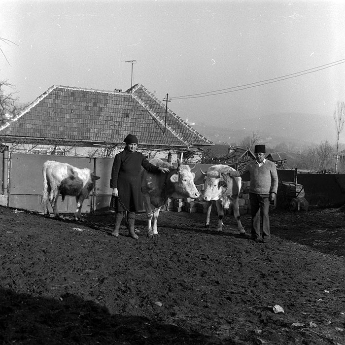 minerva_1988_agrar_c5r4_004