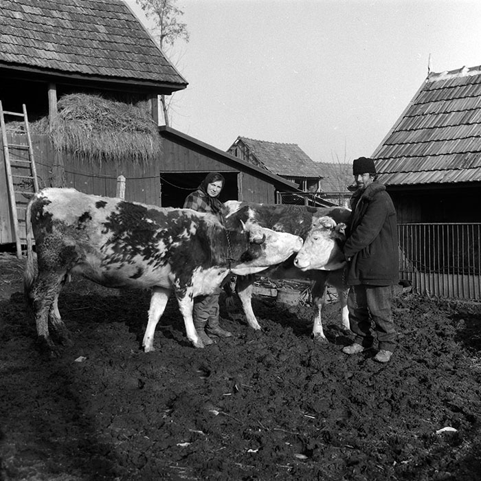 minerva_1988_agrar_c5r4_007